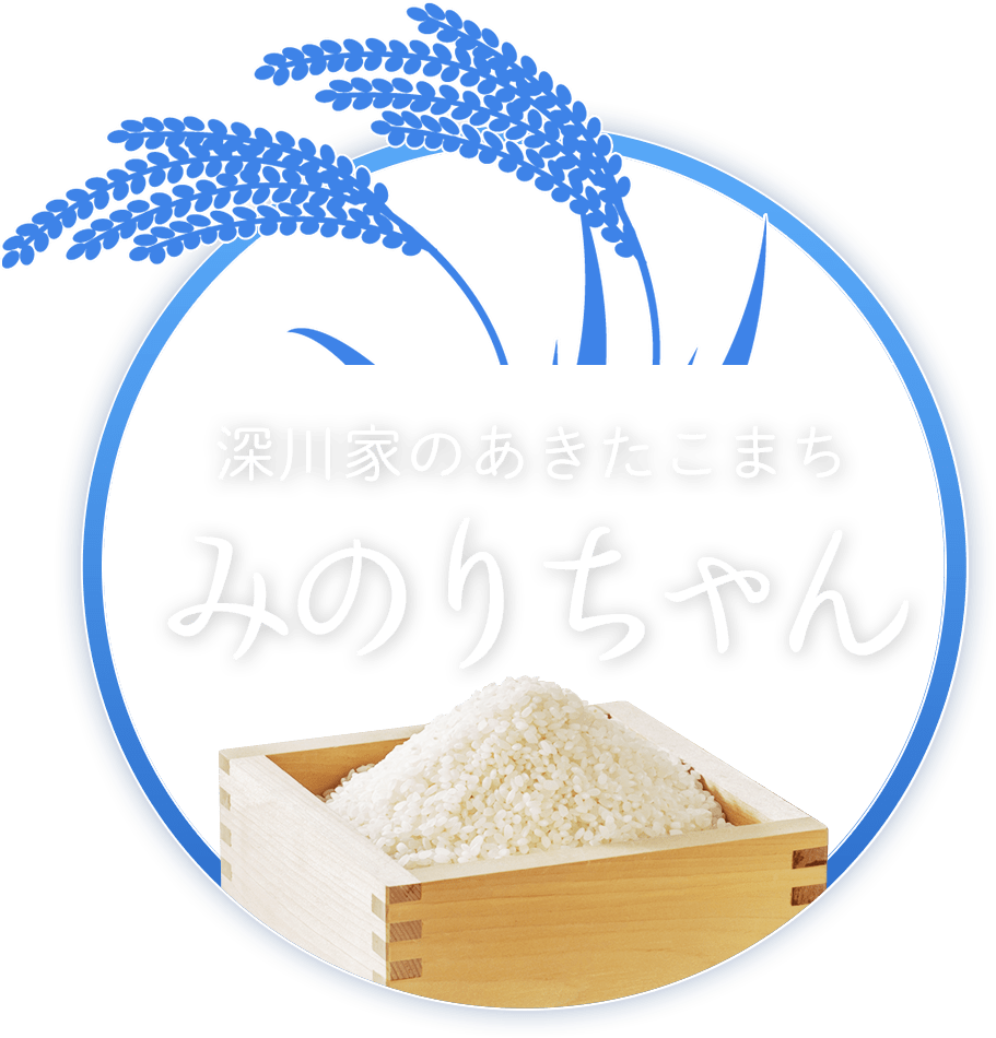深川家のあきたこまち　みのりちゃん